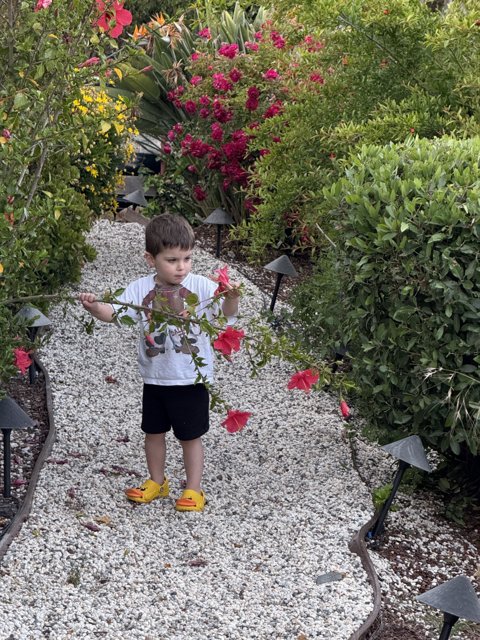 Exploring the Garden Path