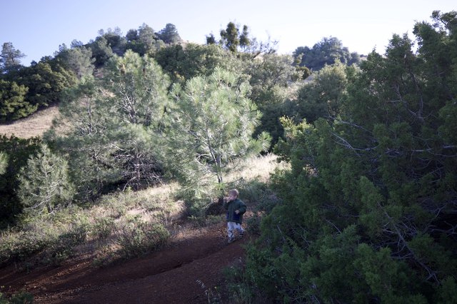 Tiny Explorer on a Sunlit Mountain Trail