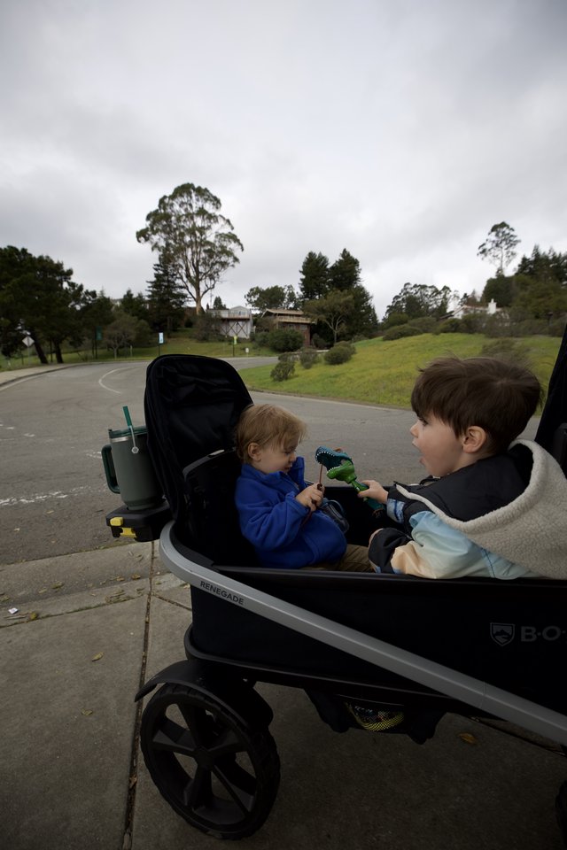 Two Children in Stroller on Suburban Street