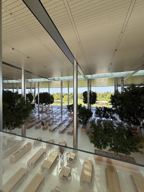 Modern Oasis at Apple Park