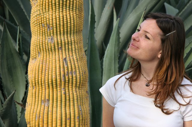 Woman Admiring a Golden Saguaro Cactus Up Close