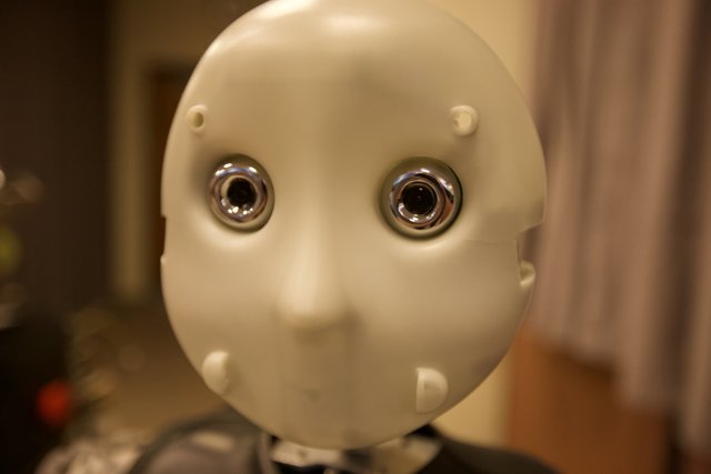 Plastic Robot Face
