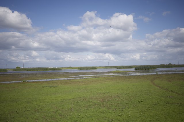 Flooded Wetlands Under Dramatic Spring Clouds