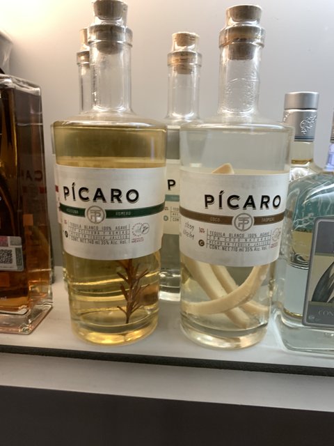 Picaro Gin - The Perfect Blend for Your Evening!