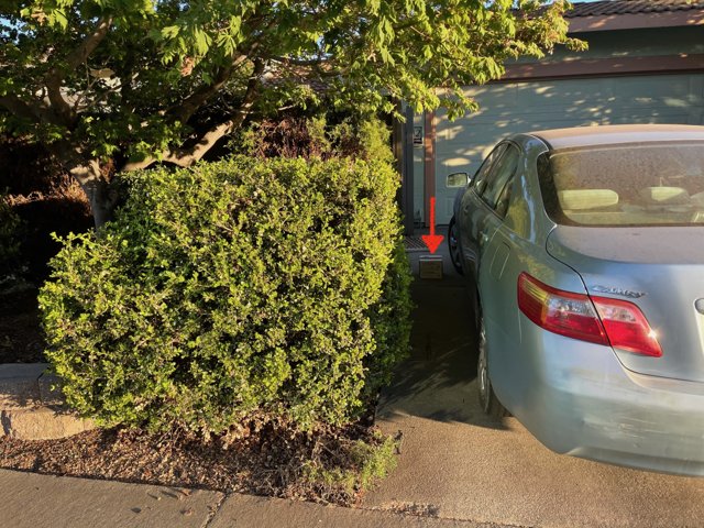 Parked Car by the Hedge