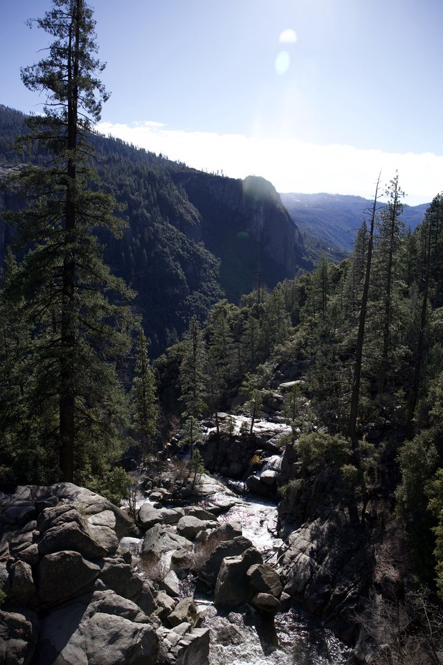 Mountain Stream Cascading Through Rocky Canyon in Yosemite