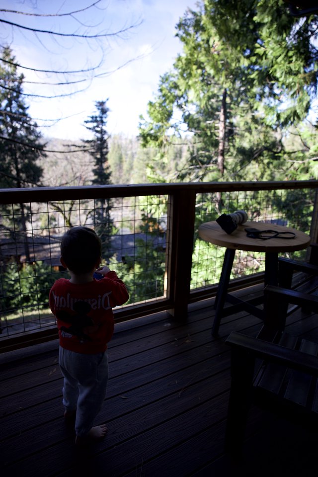 Child Gazing at Yosemite Forest from Cabin Deck