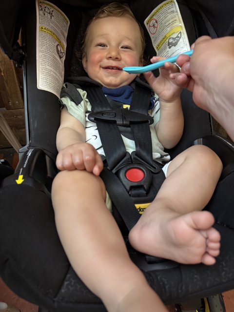 Joyful Moments on the Go