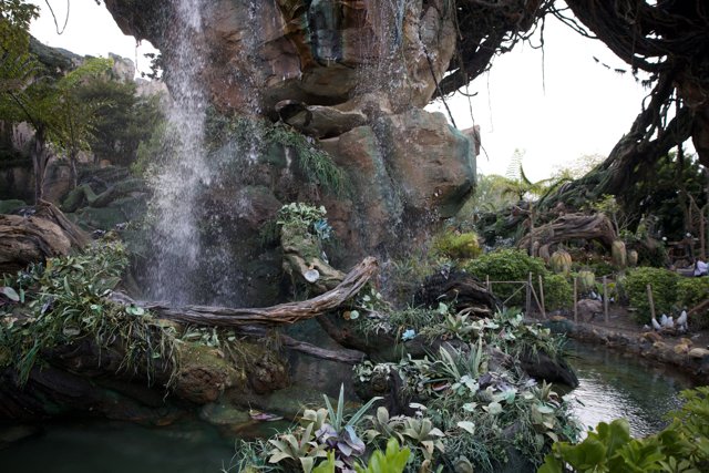 Unveiled Splendor: Disney's Animal Kingdom's New Water Feature 2024