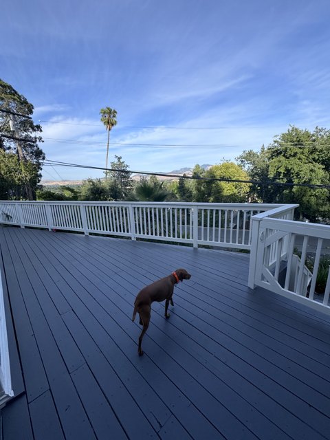 Serenity on the Deck