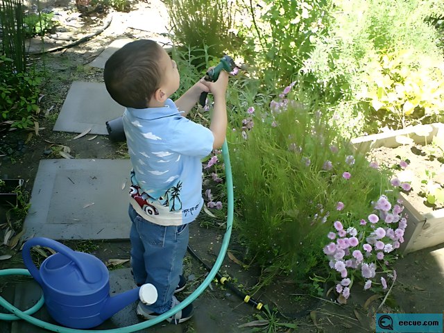 Gardening with a Young Boy in 2002