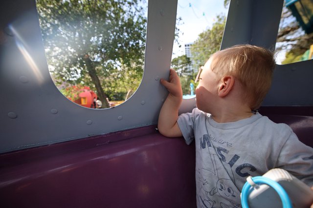 Young Child Gazing Through Playground Window