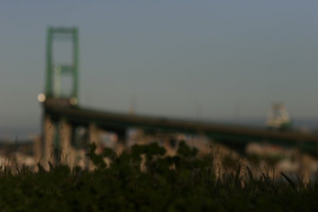 Blurry Bridge in the Metropolis