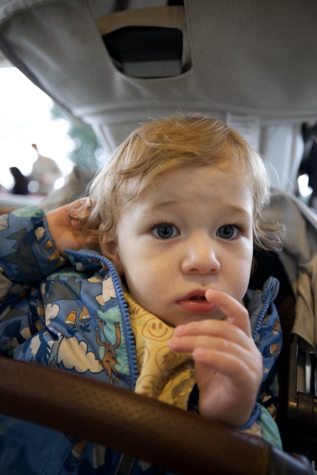 Toddler with Blonde Curls Eating in High Chair