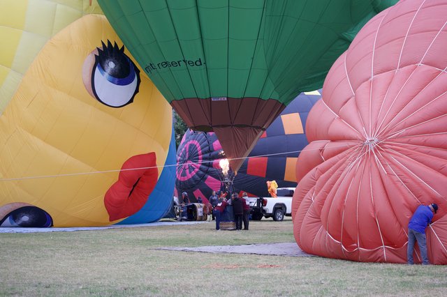 Hot Air Balloons Inflate at Sonoma County Classic
