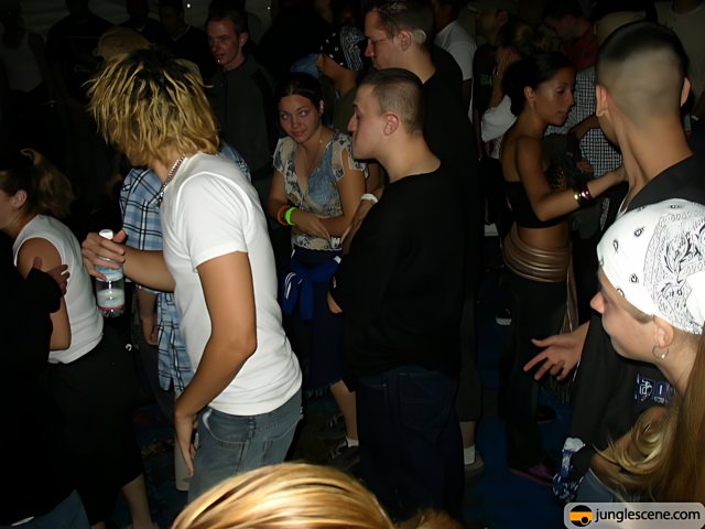 The Nightclub Crowd on the Dance Floor