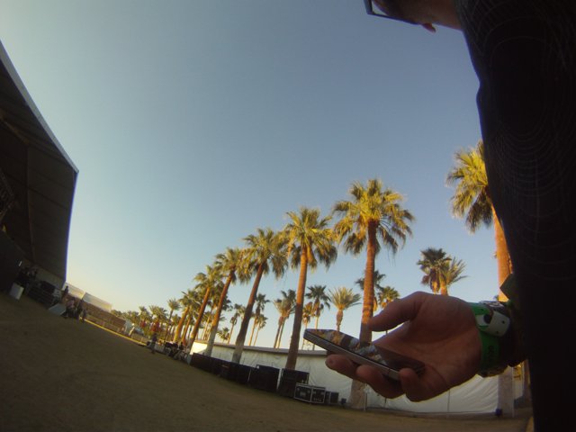 Palm Tree Selfie