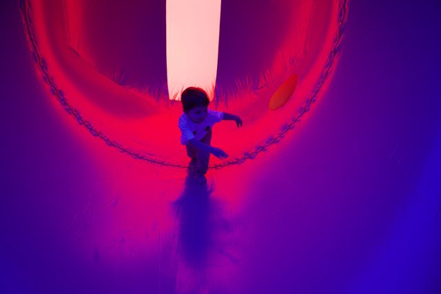 Joyful Adventure in a Purple Wonderland