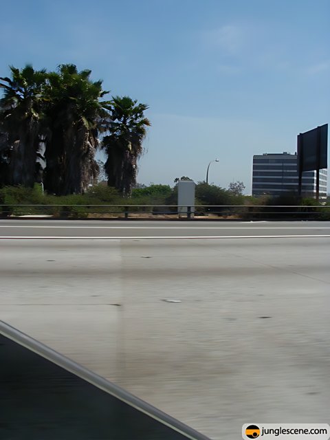 Freeway Drive with Palm Trees