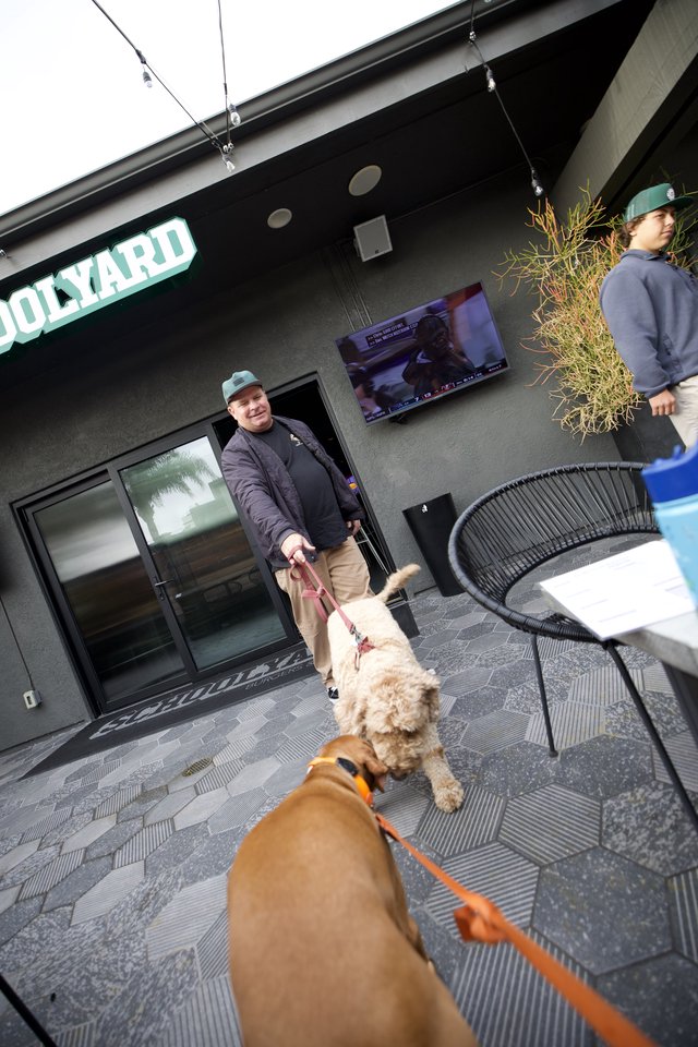 Dogs Meet Outside Modern Bar Patio