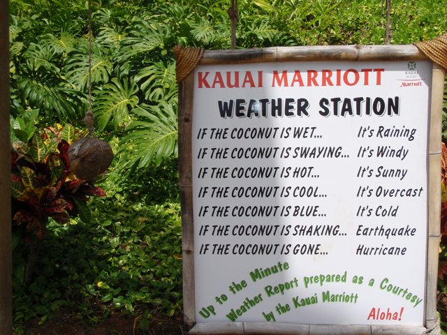 Kauai Weather Station Amid Lush Vegetation