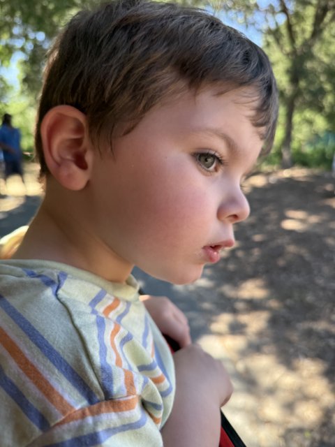 Captivated by Nature