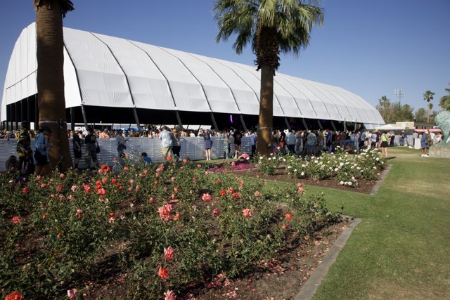 Floral Frames at Coachella 2024
