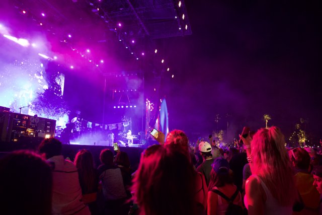 Neon Lights and Music Nights: Coachella 2024