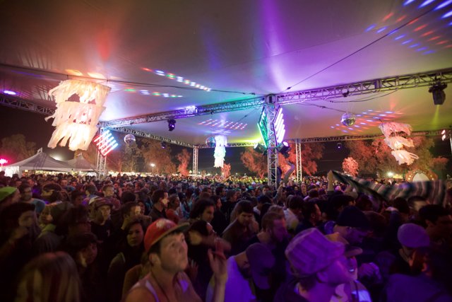 Energized Crowd at Coachella Music Festival