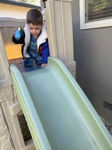 Excitement at the Playground