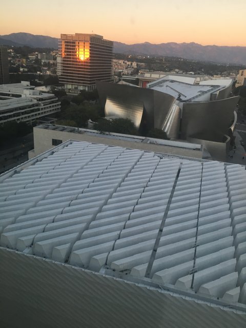 Sunset on the Roof of The Broad