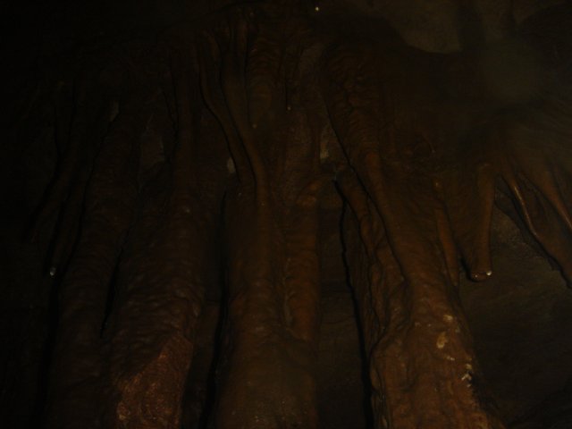 Majestic Elephant Cave