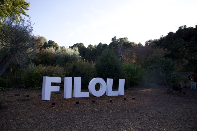 Tranquil Autumn at Filoli