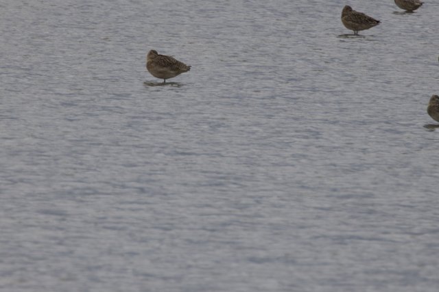 Tranquil Gathering at San Pablo Bay