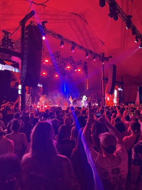 Electric Nights in Indio