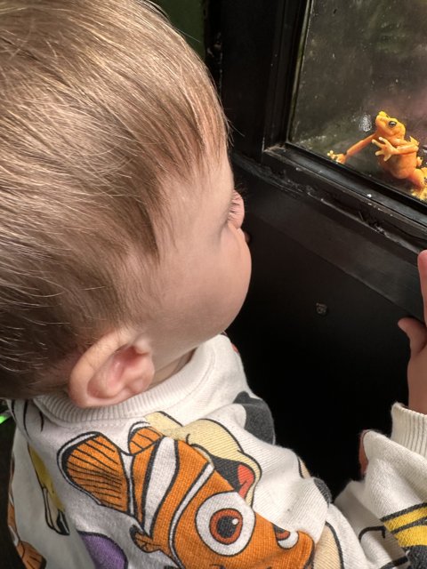 Baby's First Aquarium Experience