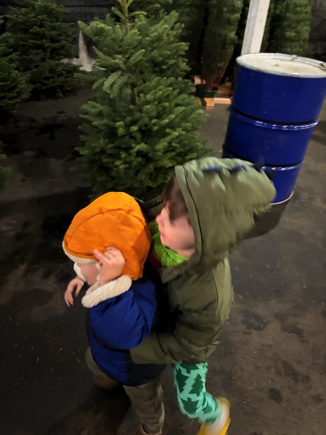 Two Children Picking Christmas Tree Together