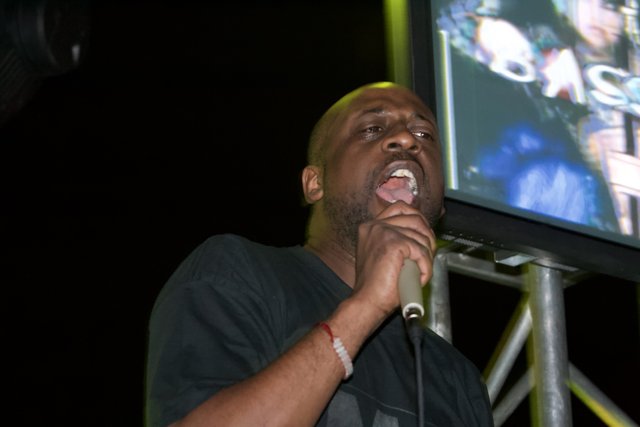 Microphone in Hand, Eyes on Screen