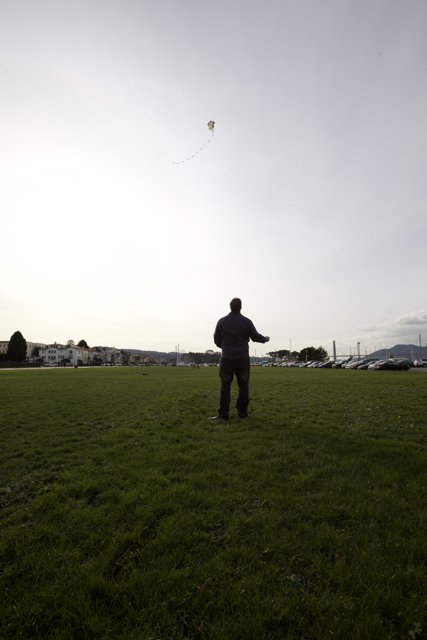 Kite flying in the field