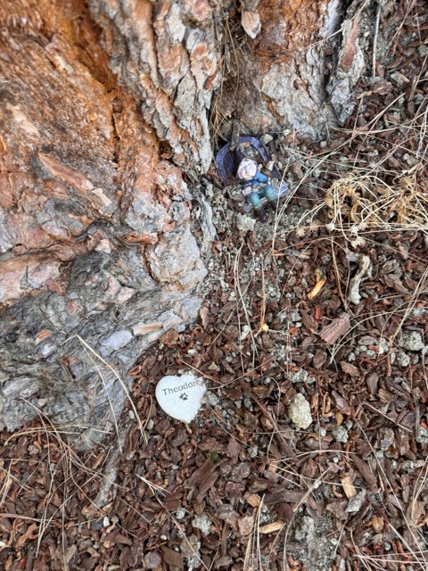 Resting Place Beneath the Oak