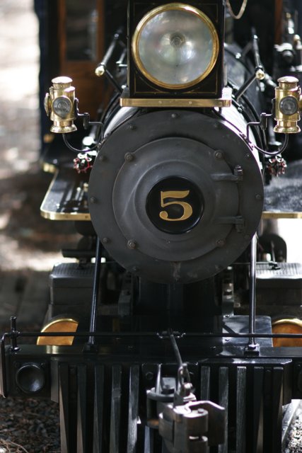 Black and Gold Locomotive at the Railway Station