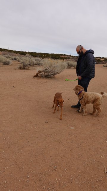 Man and his Canine Companions in the Desert