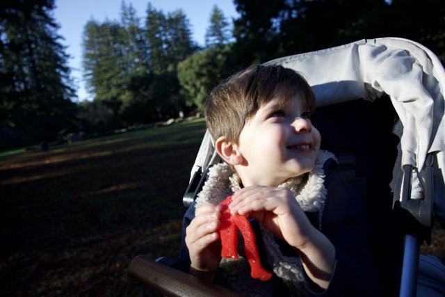Enchanted Moments at Thistlewyck