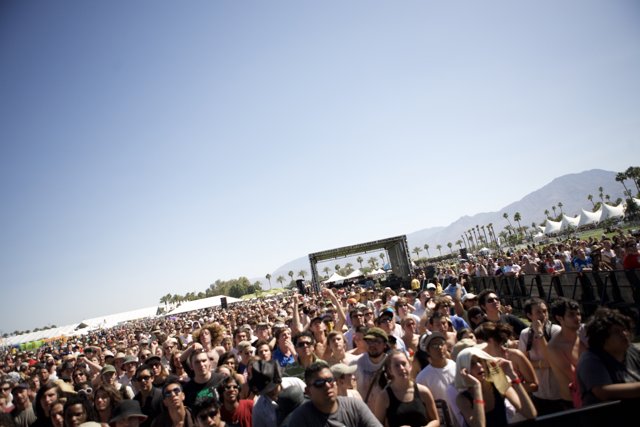 Coachella 2007: Music Festival Madness