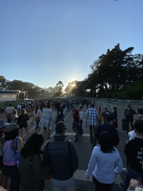 Sunset Stroll in Golden Gate Park
