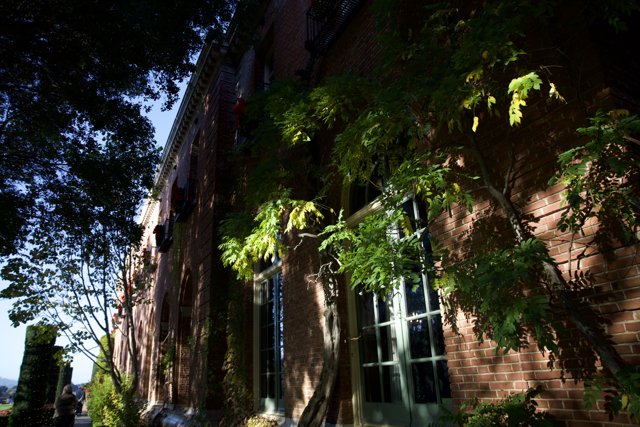 Urban Oasis at Filoli