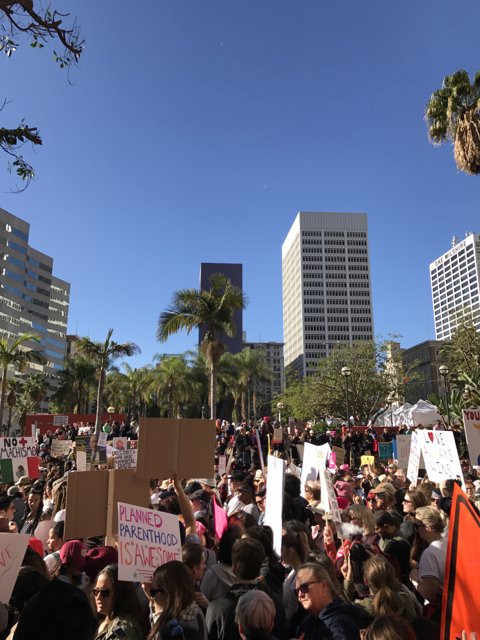 Protesters Gather in Downtown LA