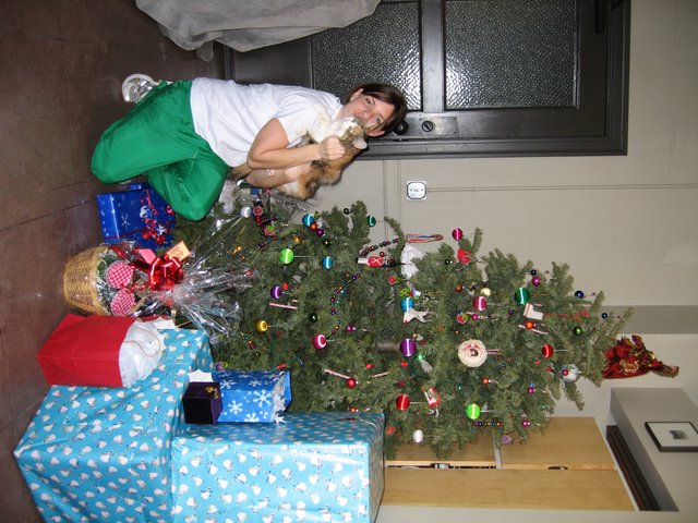 Christmas Eve Celebration with Cat and Decorated Tree