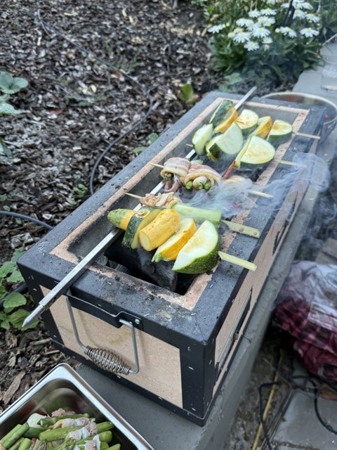 Sizzling Summer Skewers