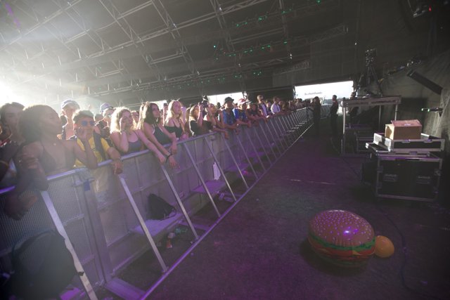 Coachella 2017 Crowd on Stage